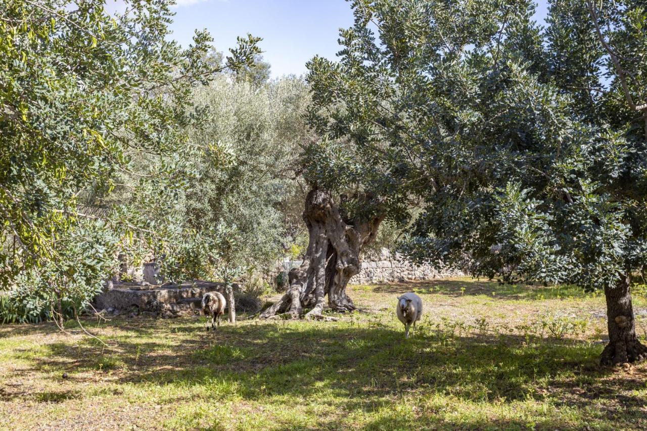 בוניולה Finca Barons מראה חיצוני תמונה