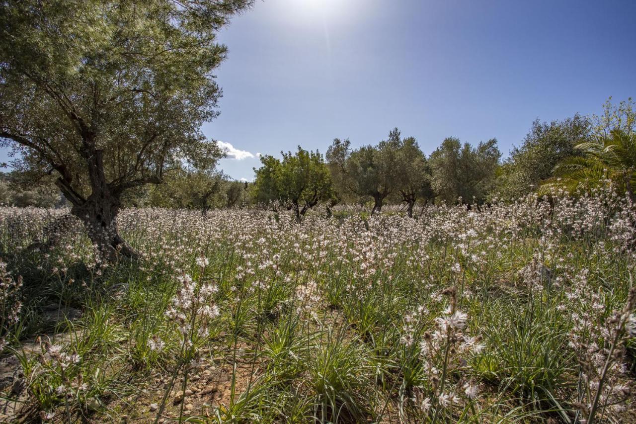 בוניולה Finca Barons מראה חיצוני תמונה