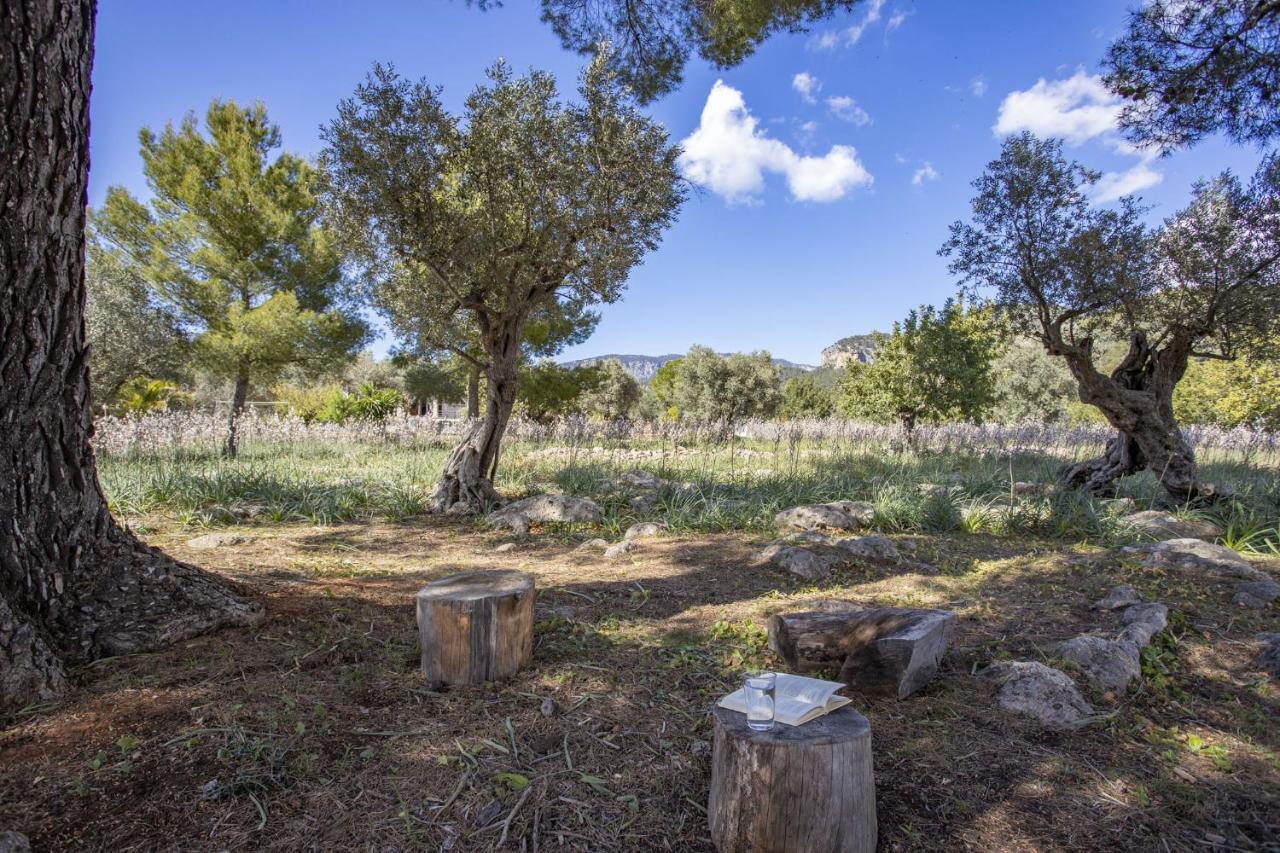 בוניולה Finca Barons מראה חיצוני תמונה